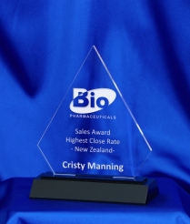 644 16cm Acrylic Award