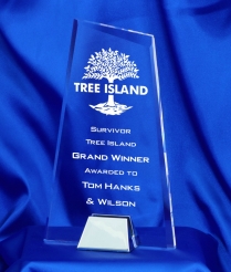 6761 23cm Nickel Base Acrylic Award