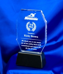 6822 23cm Weighted Base Acrylic Award