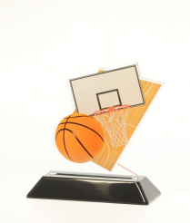 6902BASK 13.5cm Printed Basket Ball Acrylic Award