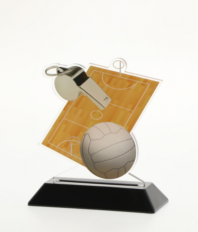 6902NETB 13.5cm Printed Netball Acrylic Award