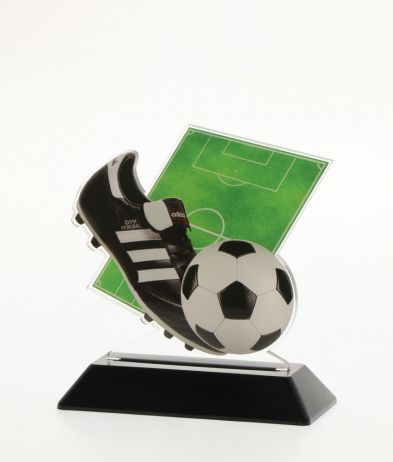 6902SOCC 13.5cm Printed Soccer Acrylic Award