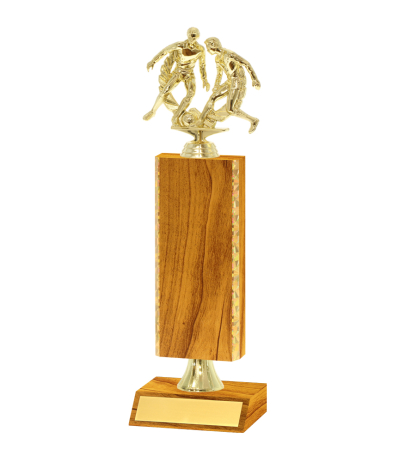  Gd Edged Trophy <Br>23cm Plus Figurine