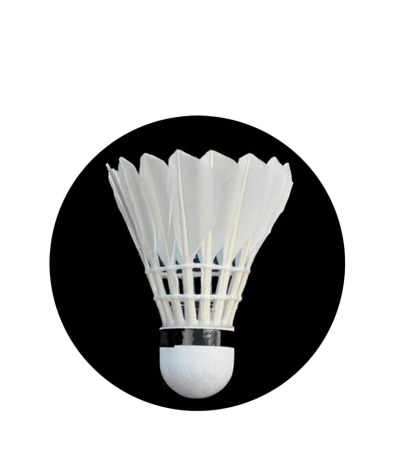 BADM02 Badminton Feathers - Dome 25mm