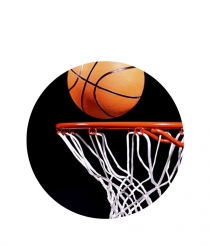 BASK206 Basketball & Net - Dome 50mm