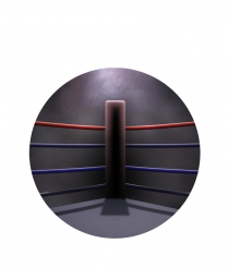 BOX207 Boxing - Dome 50mm