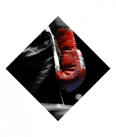 BOX701 Boxing Glove - Sports Inserts