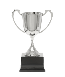  Nickel Sports Cup 33cm