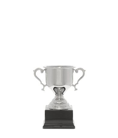  Challenge Nickel Cup 16.5cm