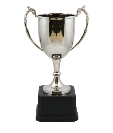  Sussex Nickel Cup 43cm
