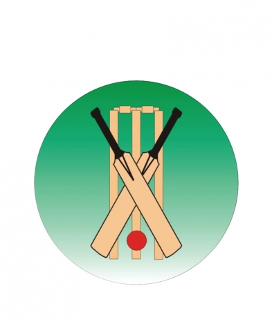 CRIC02 Cricket X-Bats & Wicket - Dome 25mm