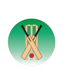 CRIC02 Cricket X-Bats & Wicket - Dome 25mm