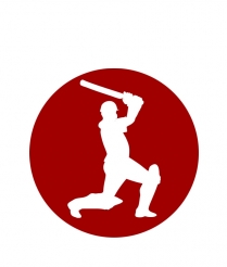 CRIC12 Cricket - Dome 25mm