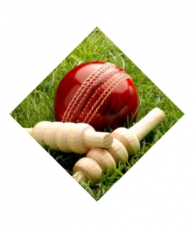 CRIC701 Cricket - Sports Inserts