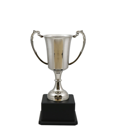  Kendal Nickel Cup 31.5cm