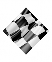 FLAG701 Flag - Sports Inserts