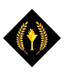 FLAM701 Flame - Sports Inserts