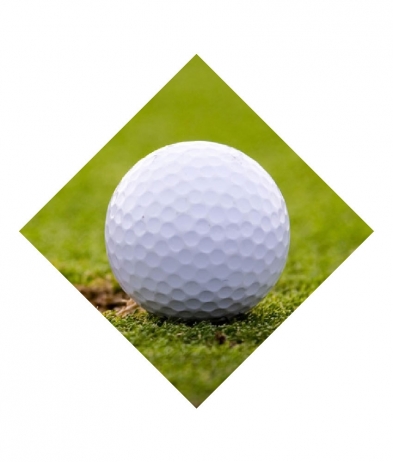 GOLF701 Golf - Sports Inserts