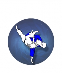 MARI06 Martial Arts - Dome 25mm