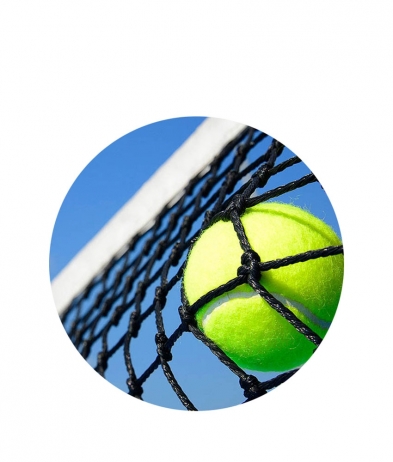 TENN05 Tennis Ball & Net - Dome 25mm