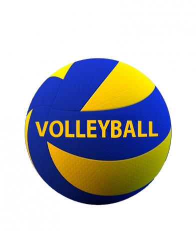 VOLL204 Volleyball - Dome 50mm
