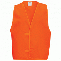 Orange Vest