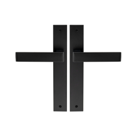 Galaxy - Pegasus Elite Longplate Lever Set