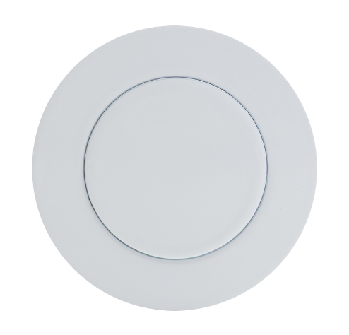 Arctic White