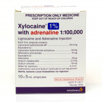 XYLOCAINE 1% ADREN 5ML (12017)      BOX/10