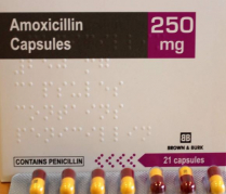 AMOXIL CAPSULE 250MG                  BOX/20