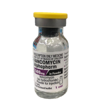 VANCOMYCIN VIAL 500MG VIATRIS                   EACH