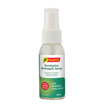 BOSISTOS ANTISEPTIC RELIEF SPRAY 55ML  EA