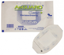 ASGUARD PLUS PAD 15X20CM (ISC004)     BOX/25