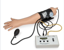 BLOOD PRESSURE TRAINING ARM LIFEFORM (LF1095) EA