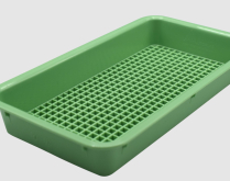 TRAY PERF GREEN PLASTIC 200X100X40MM  EACH