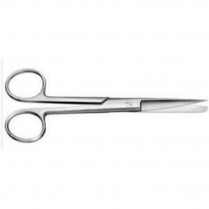 SCISSOR SURG SH/BL STR 16CM (SSSHBLS160)  EACH