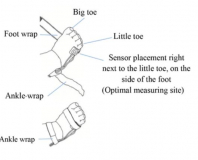 WRAP NEONATAL SP02 SENSOR FOR SM50/SM80 (SH038-03N9) EA