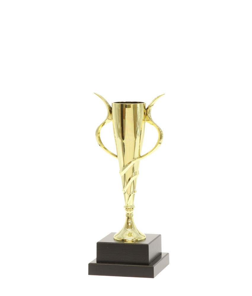 Euro Cup - Spiral 25cm Awards Trophy And Engraving Experts