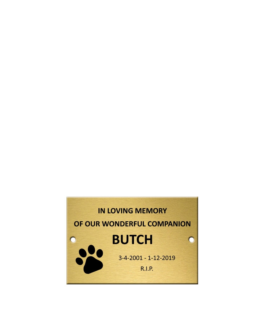 Solid Brass Plaque 150 X 100mm Awards Trophy And Engraving Experts   Sb150V 