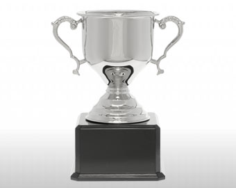 Challenge Nickel Plated Cup