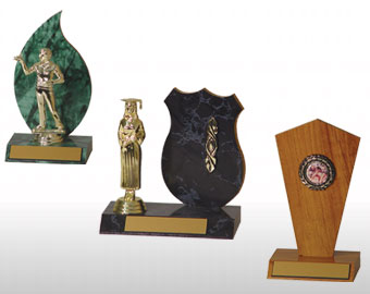 shaped trophies catagory