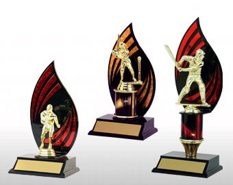 flameback and activity insert trophies catagory