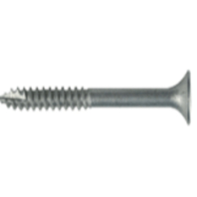 Bugle Batten Screw Internal Hex T17 CL3 14-10x50 (1000)