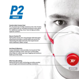 Dust & Mist Respirator P2 (12) Intex