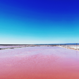 Sea Salt Flakes Kraft Canister 120g