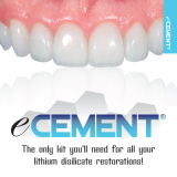 eCement Translucent (4.5gm)