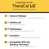 TheraCal LC Syringe 4Pk with Tips (4 x 1gm)