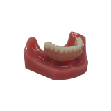 Locator Fixed Patient Model