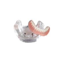 Locator R-TX Patient Model