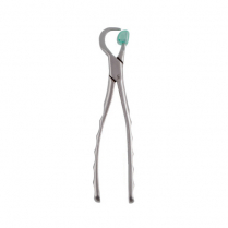 Physics Forceps Upper Right ( GMX100-UR )